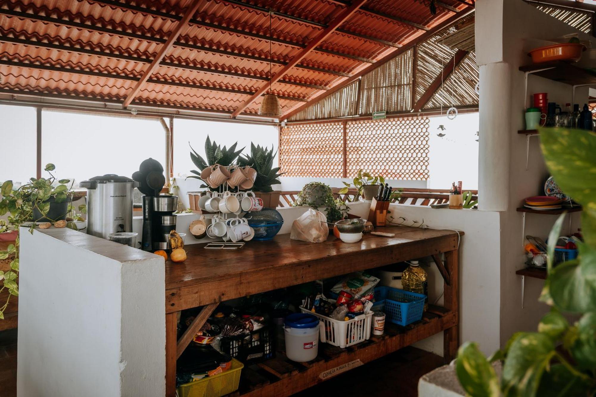 Terraza Puerto Hostel 푸에르토 에스콘디도 외부 사진